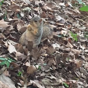 Meet your Posher, Mari